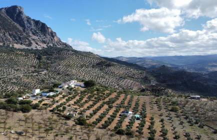 La Cordillera 1 - Foto 5