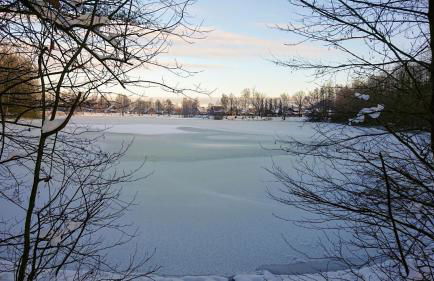 Ferienhaus im Seedorf im Münsterland Warendorf - Photo 33