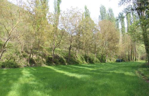 Sul sentiero di Francesco - Foto 6