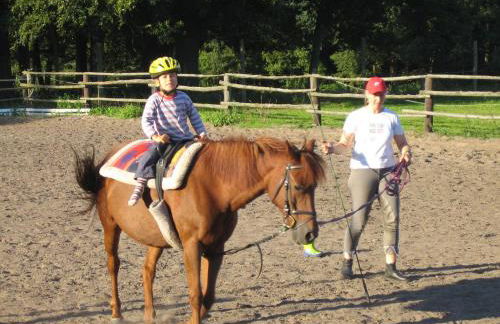 Ferienhof Drewes Ranch - Foto 14