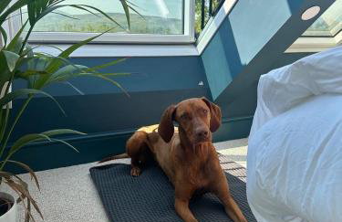 Plas Coch Luxury Barn - Foto 38