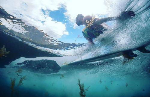 Ocean Views - Foto 27