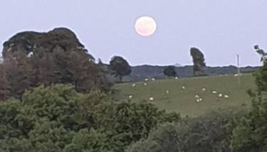 Pondside Cabin - Photo 3