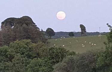 Pondside Cabin - Foto 3