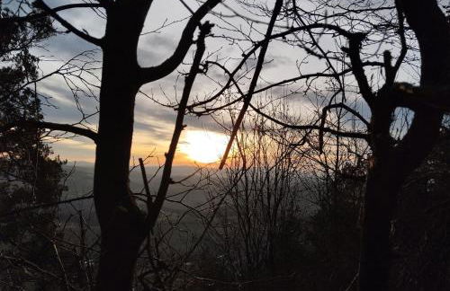 "Haus Ulla" - Foto 70