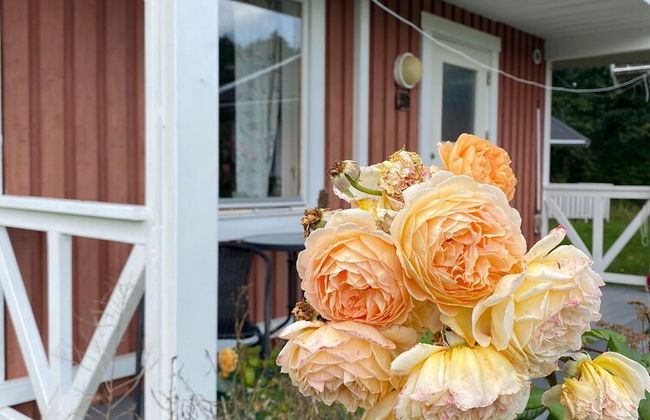 Hälluddens Stugby och Vandrarhem - Foto 30