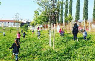 Le Bianchette Agriturismo e Fattoria Didattica - Foto 49