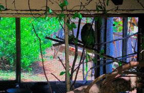 LUMA - Casa de Hospedaria - Foto 11