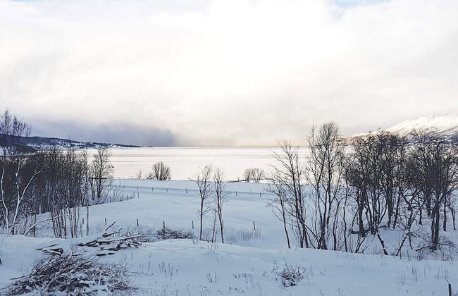 6 Person Holiday Home in Hamnvik - Foto 25