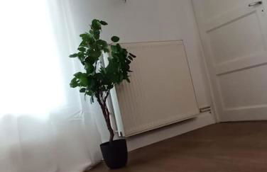 Le Blue IVY Hyper centre 2 chambres Tout équipe - Foto 8