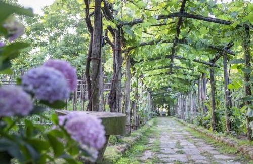 Benvenuto Collection - Villa Mellicata - Foto 7