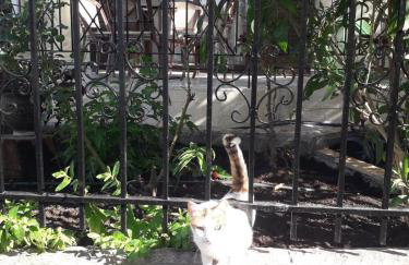 Maisonette in Strefi, Ancient Olympia - Foto 45