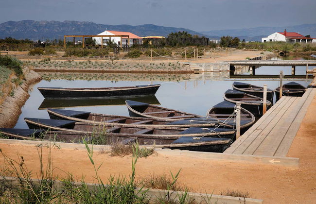 Visite guidée de MónNatura Delta de l'Èbre - Photo 2