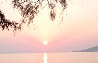 Argo Studios - Foto 12