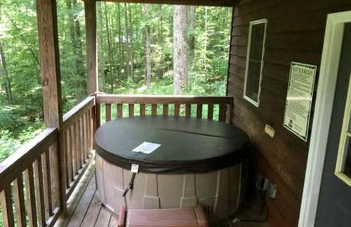 Family-Friendly Cabin with Private Hot Tub near Charlotte, North Carolina - Foto 1