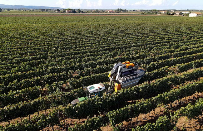 Agriturismo il Pelago - Foto 55