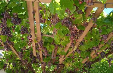 Mare & Bartol - Foto 19