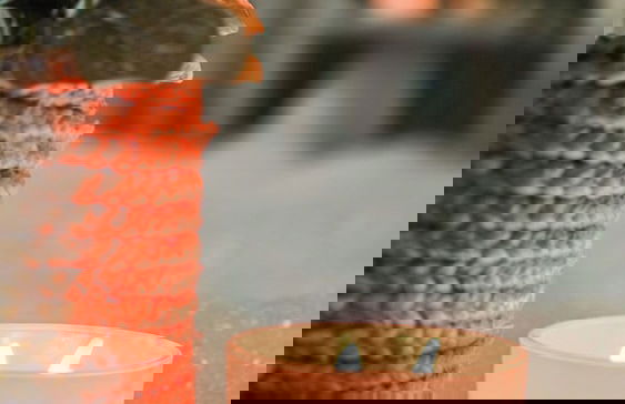 Alpin Motel & Conference Centre - Foto 34