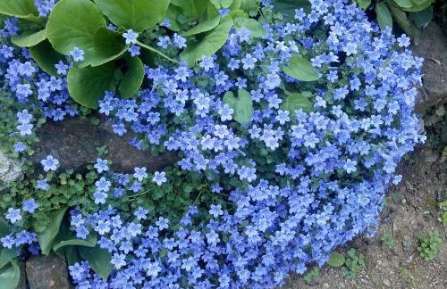 Studio Luna - Photo 12