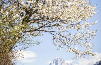 Appartements Riegelehof - Photo 34