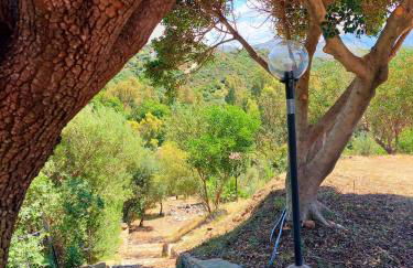 Casa Mamà - Foto 37