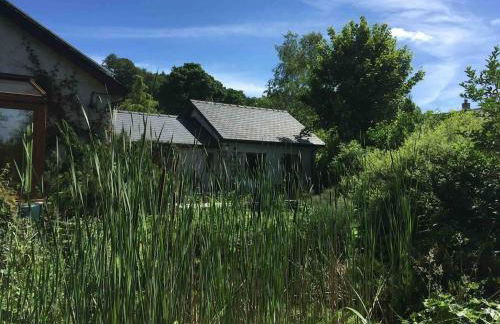 Cysgod Bach & Caban y Saer Cottages - Foto 16