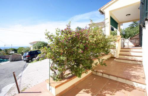 Bougainvillea Primo Piano - Goelba - Foto 28