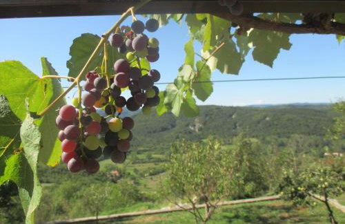 Apartment Fabris - Foto 30