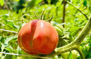 Amalfi Lodge - Foto 32