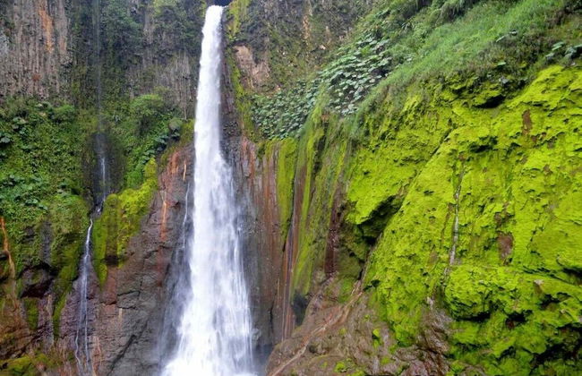Selvática del Toro - Foto 38