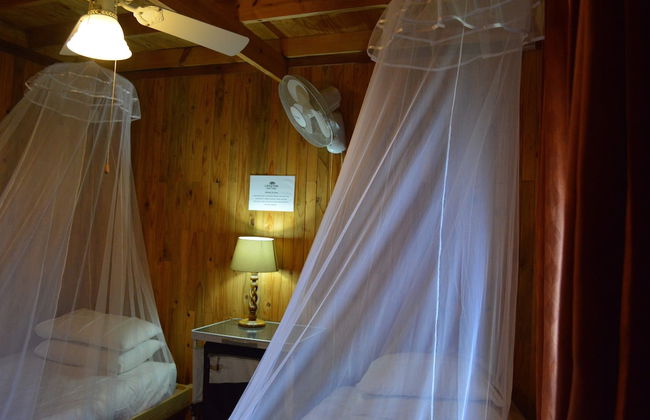 Lion Tree Bush Lodge - Foto 9