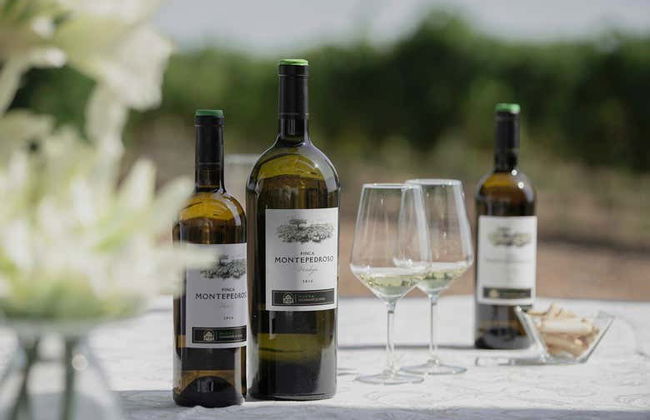 Visite des caves à vin de la Finca Montepedroso - Photo 5