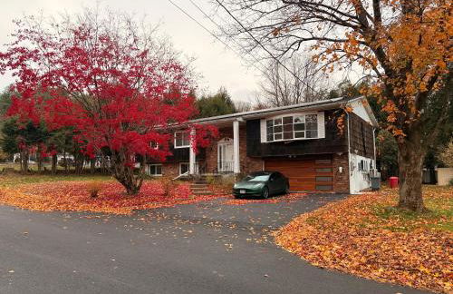 Huge Private Suite with Pool Table, Sauna & Fire Pit - Foto 25