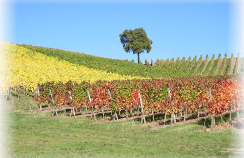 Ferienwohnung Pfrang - Foto 35
