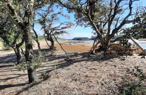 SAS Vac Appart - Photo 16