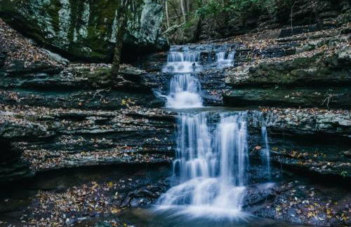 Rustic Chic Alabama Cabin w Loft Fire Pit Pet Friendly Fenced Yard Lake Guntersville - Lucky Lodge - Foto 57
