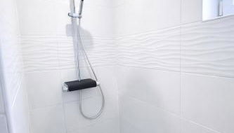 Gare Oissel - Le Paon - Foto 5