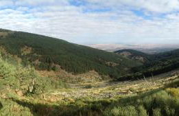 La Casita del Guarda - Photo 30