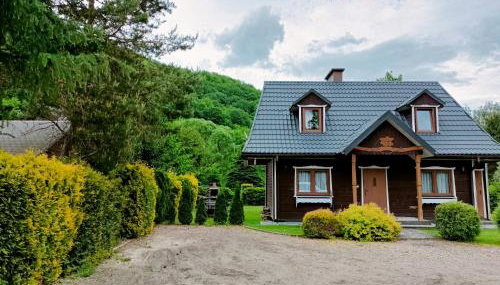 Domki w Bieszczadach - Foto 2, Garden, Garden view