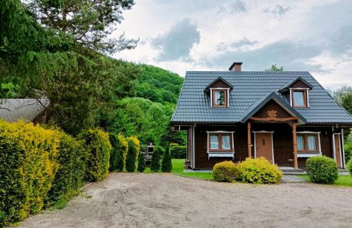 Domki w Bieszczadach - Foto 2