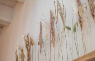 Van Senden 5 Anni - Photo 7