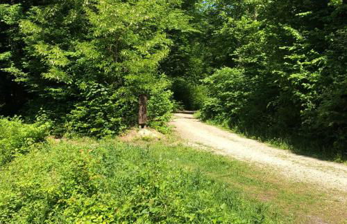 Ferienwohnung Will - Photo 39