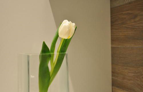 Luxury Apartments Cervia, 2 apartments with 1 Swimming Pool - Foto 71