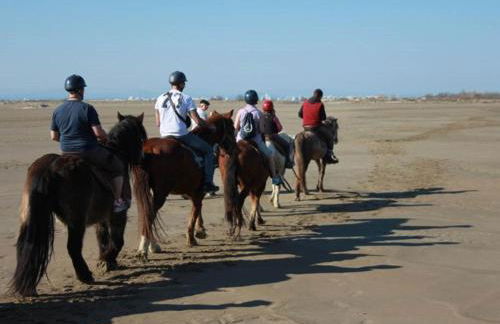 Studio Cabine avec terrasse ensoleillée, piscines, parking privé, à 500m de la plage - FR-1-307-133 - Foto 24