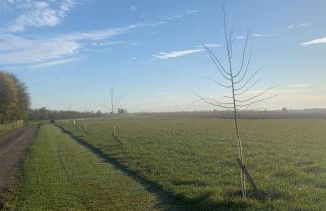 Elm Cottage at Gravel Farm - Photo 19