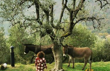 Holiday House Petrarca - Photo 35