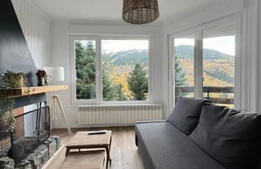 Pico Cerler - Foto 4