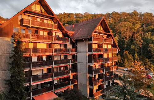 Gaishöll-Wasserfälle Apartment Schwarzwald - Foto 11