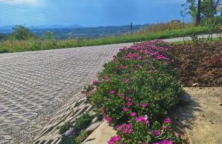 Drvena bajka - Photo 38