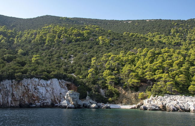 Maestralia - Foto 44